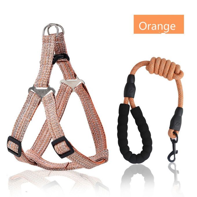 dog leash