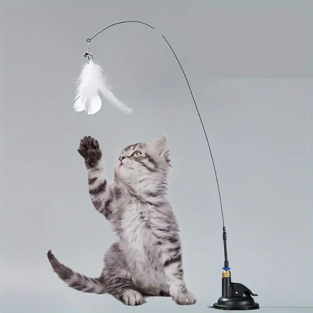 cat toys interactive