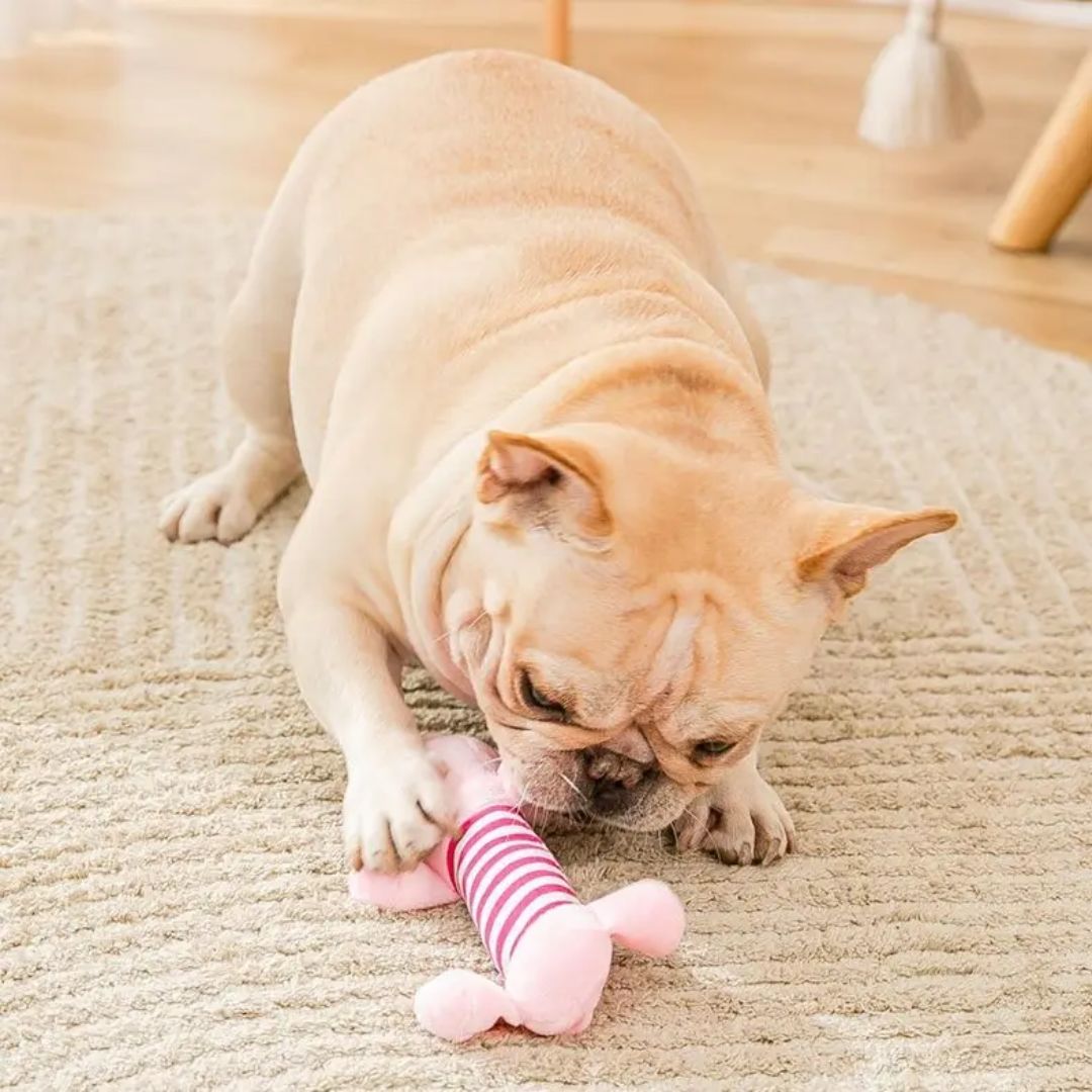 cute dog toys
