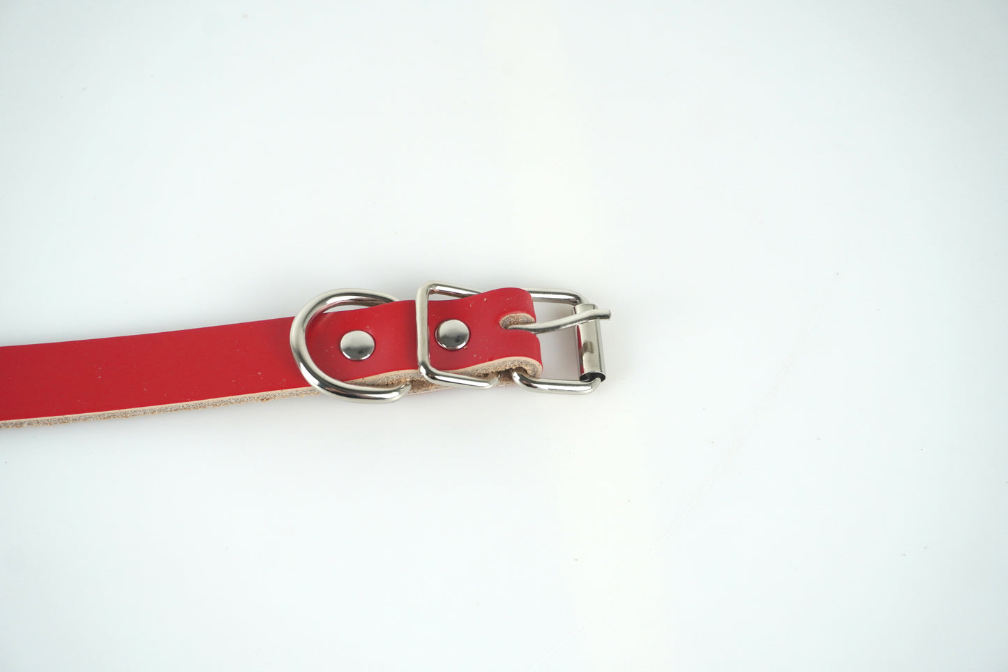 bohemian dog collar