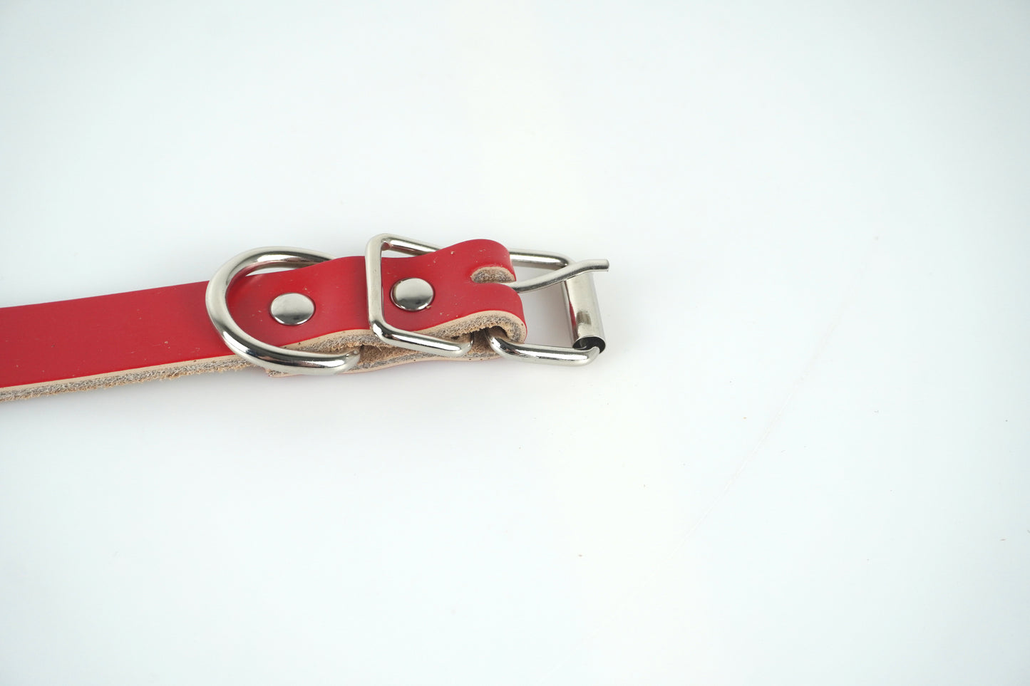cute dog collar