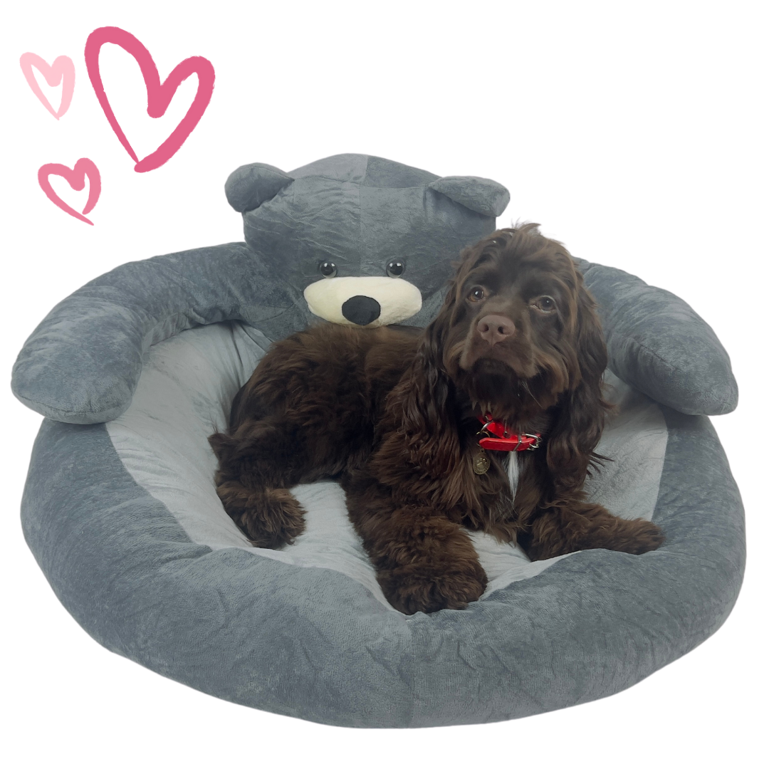 petsary dog bed