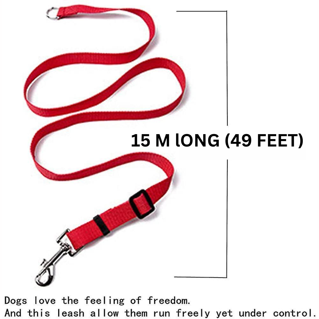 dog leash