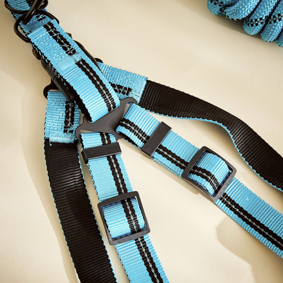 Best Pet Collars