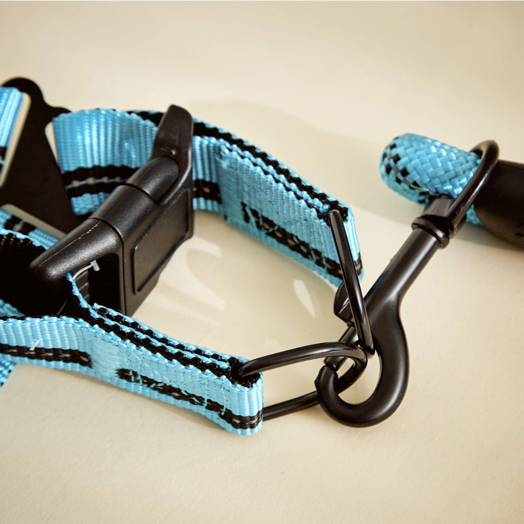Reflective collar