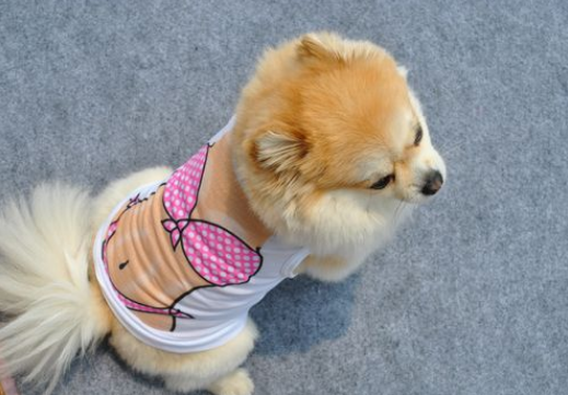 Soft Pet Costume