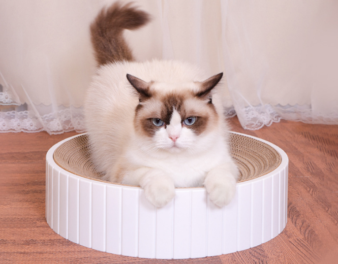 White Cat Scratcher with a pack of Catnip