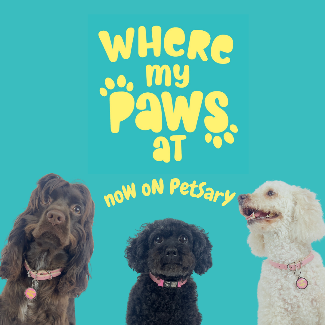 WMPA Slip On Tags! (Blue)