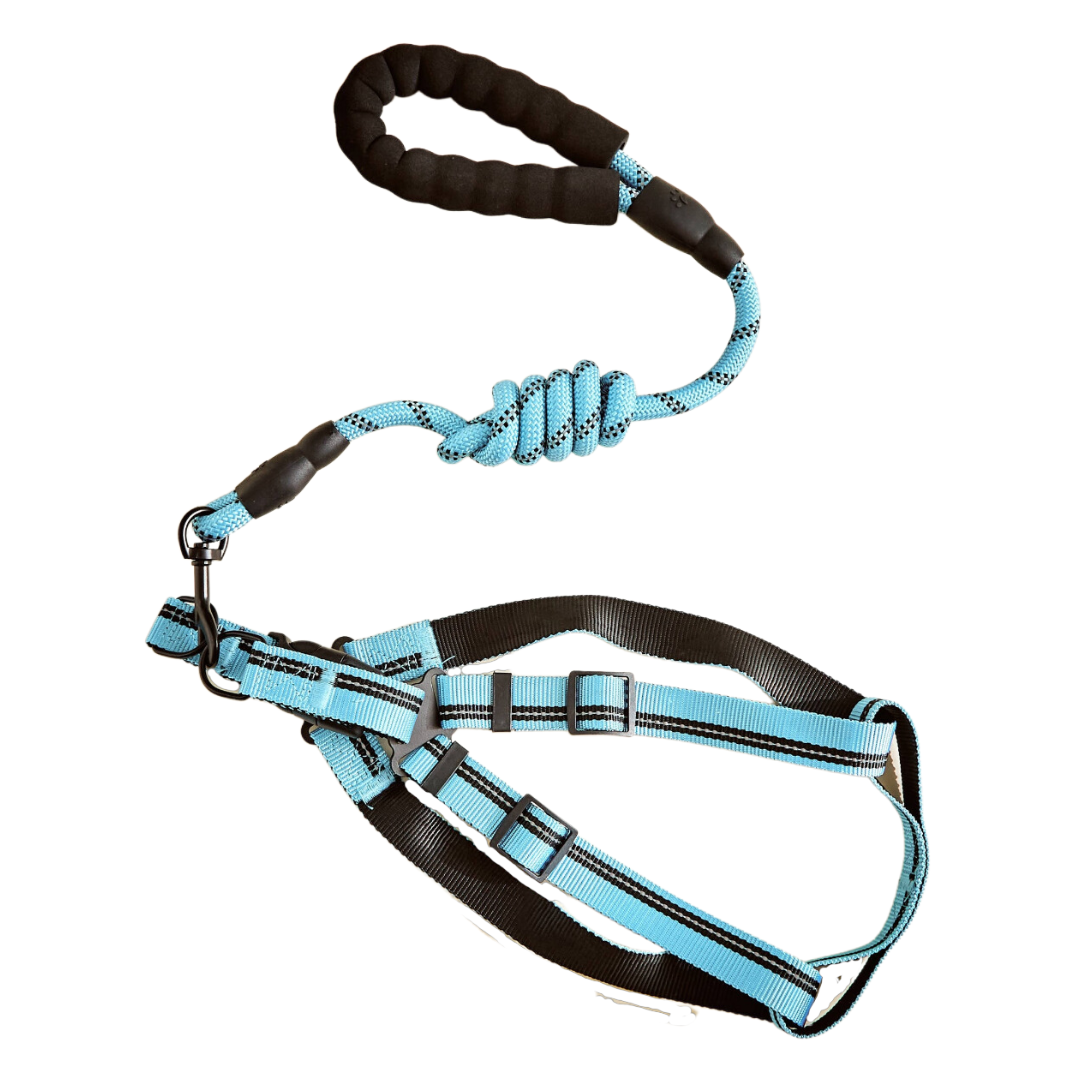pet collar