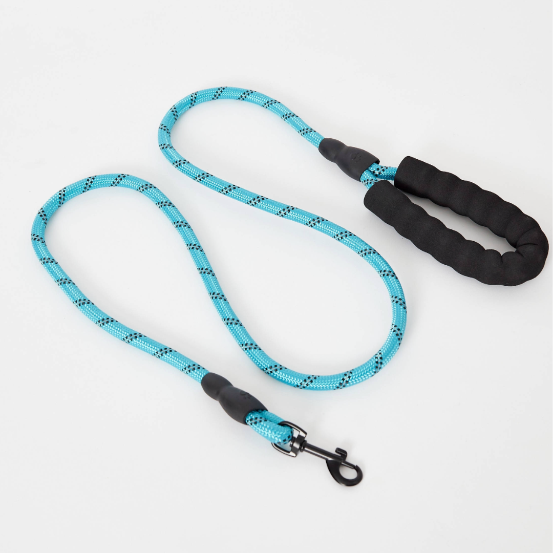 dog collar small