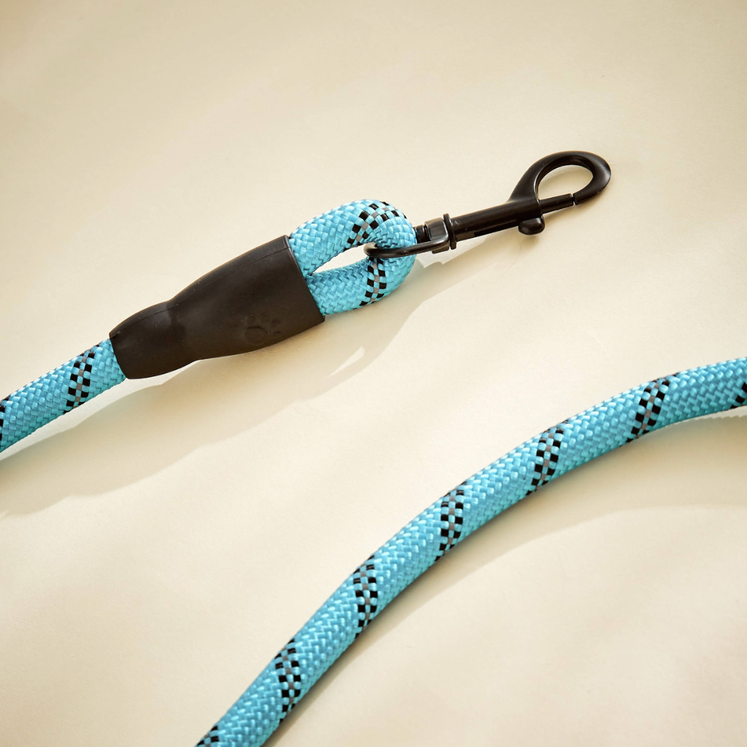 comfortable dog collar