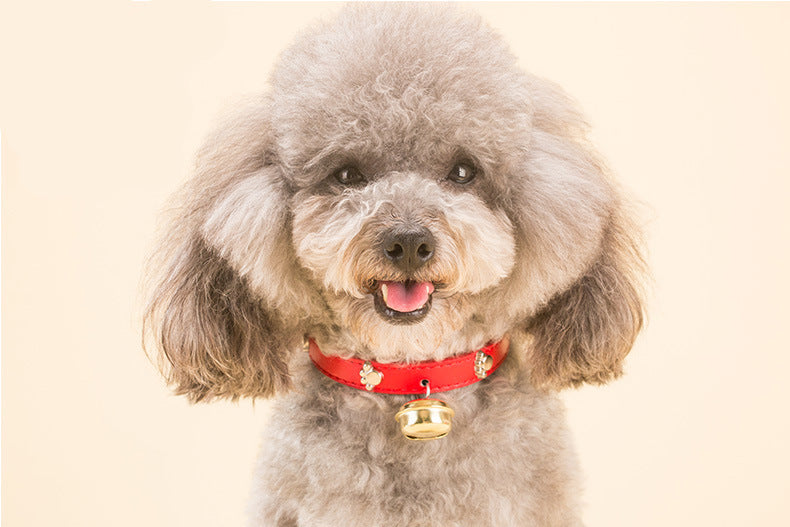 pet collar