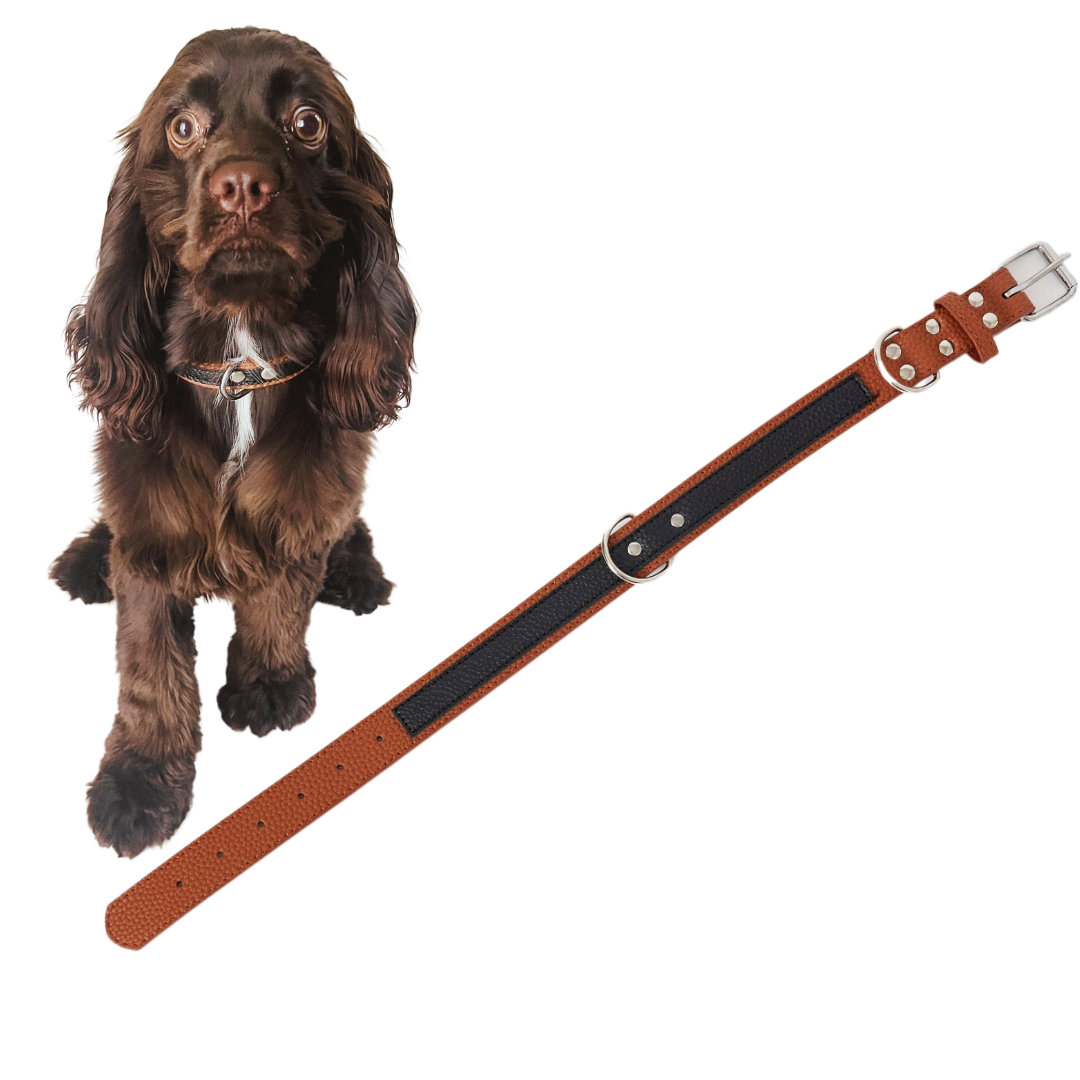 Stylish Leather Collars (Medium)