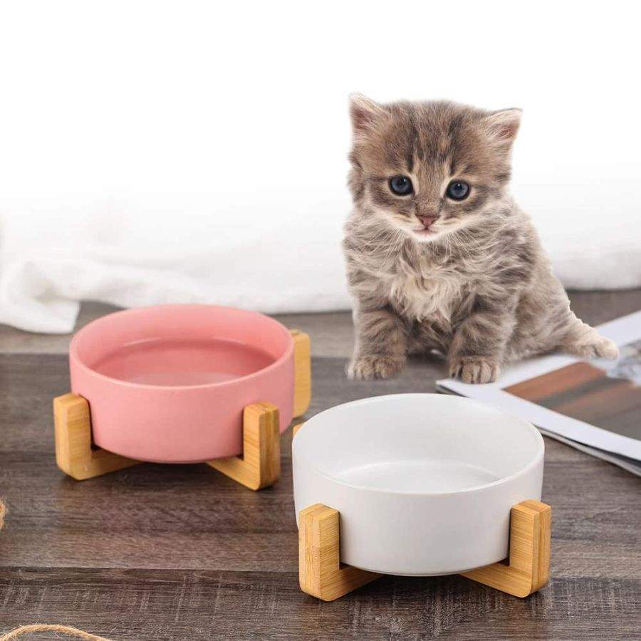 ceramic bowl