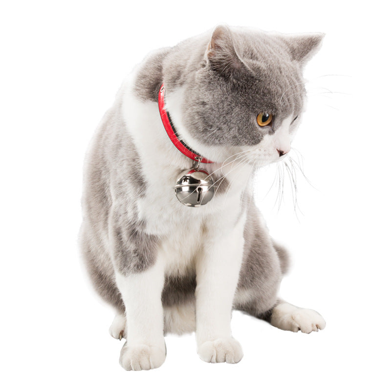Best Pet Collars