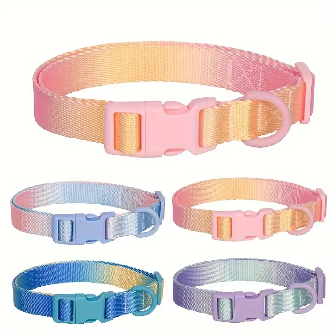 dog collar for large dogs