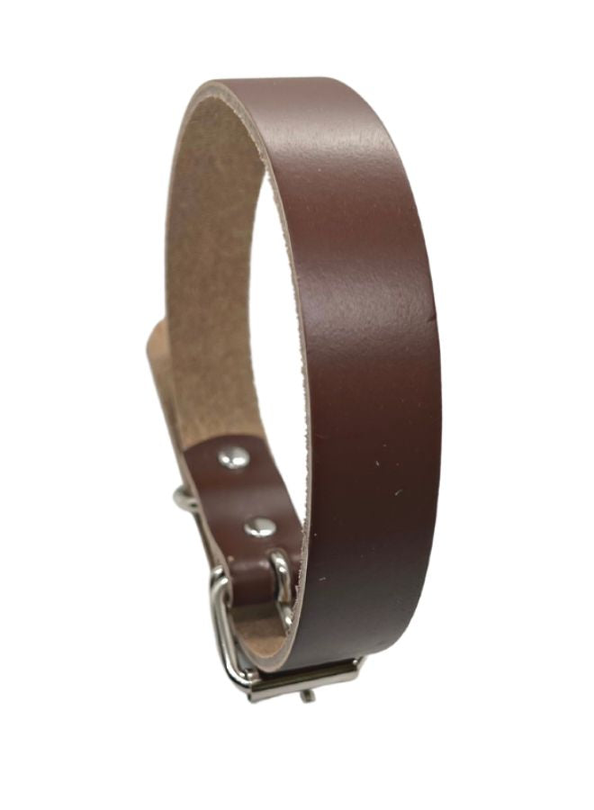 pet collar