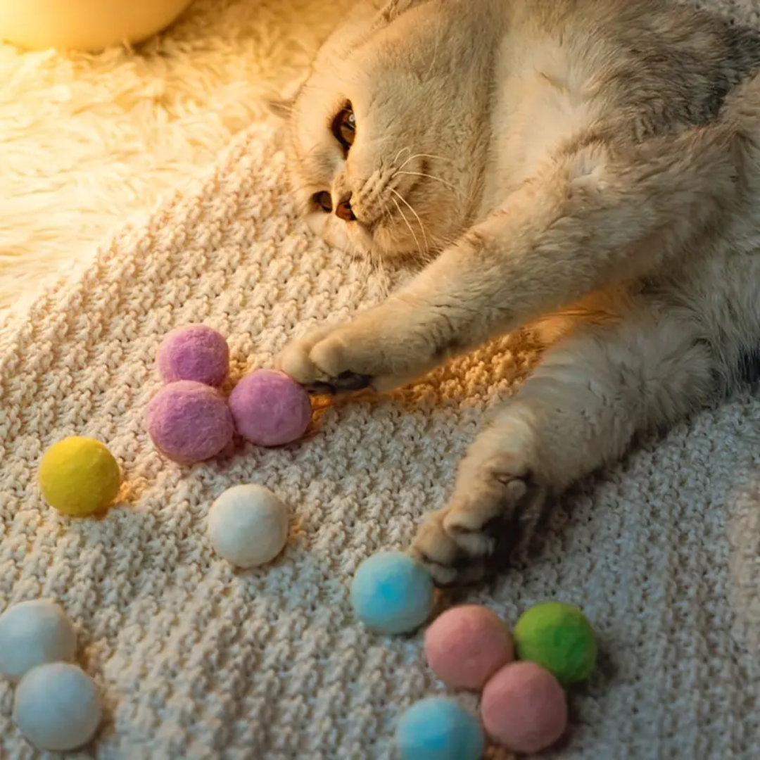 best cat toys