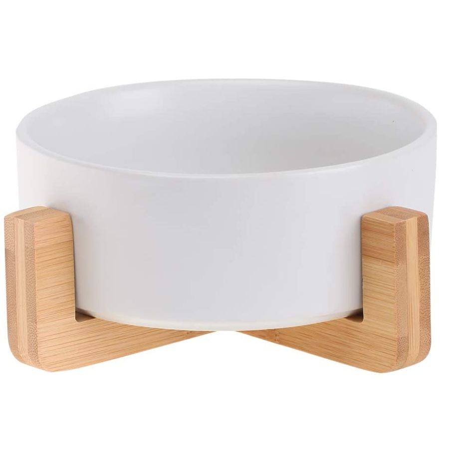 dog food bowl