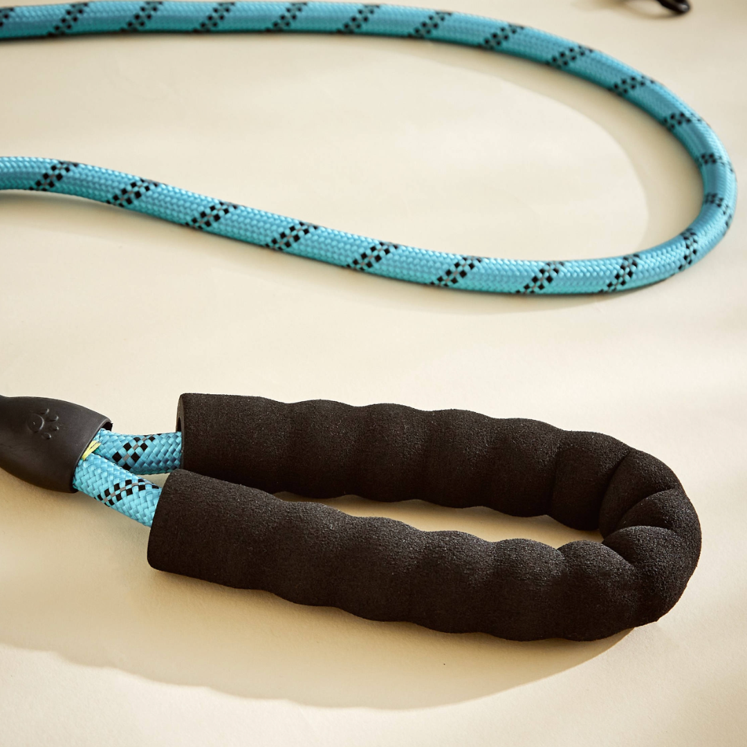 bohemian dog collar