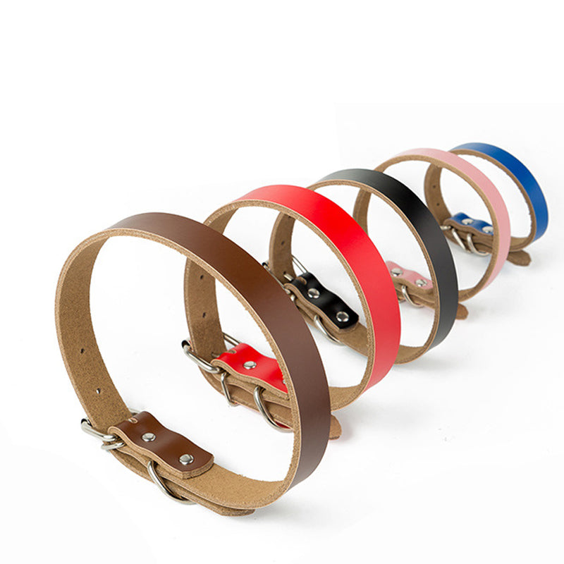 dog collar small