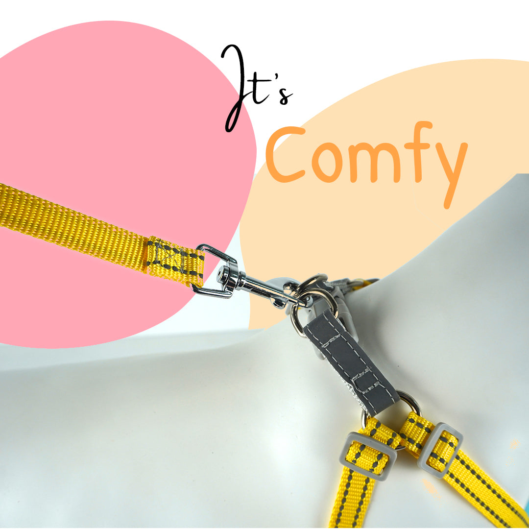Step-in Flex Dog Harness & Reflective Leash Combo Set (Black & Orange)