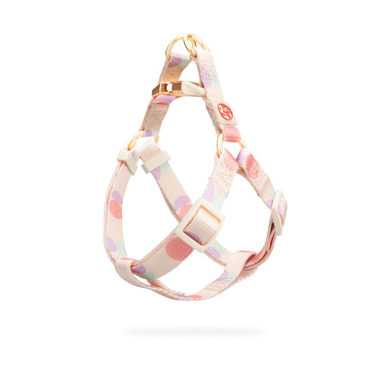 dog harness