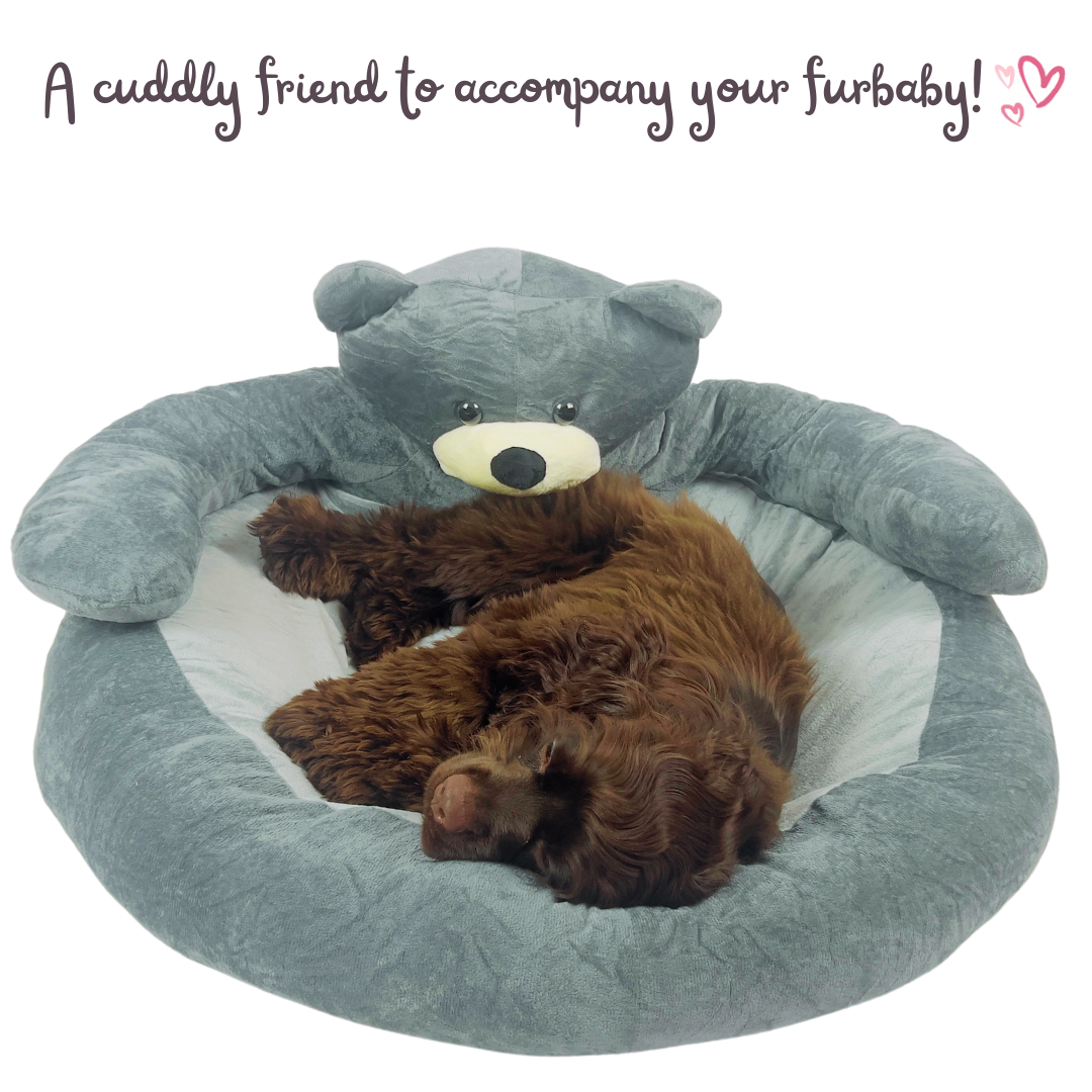 dog bed washable
