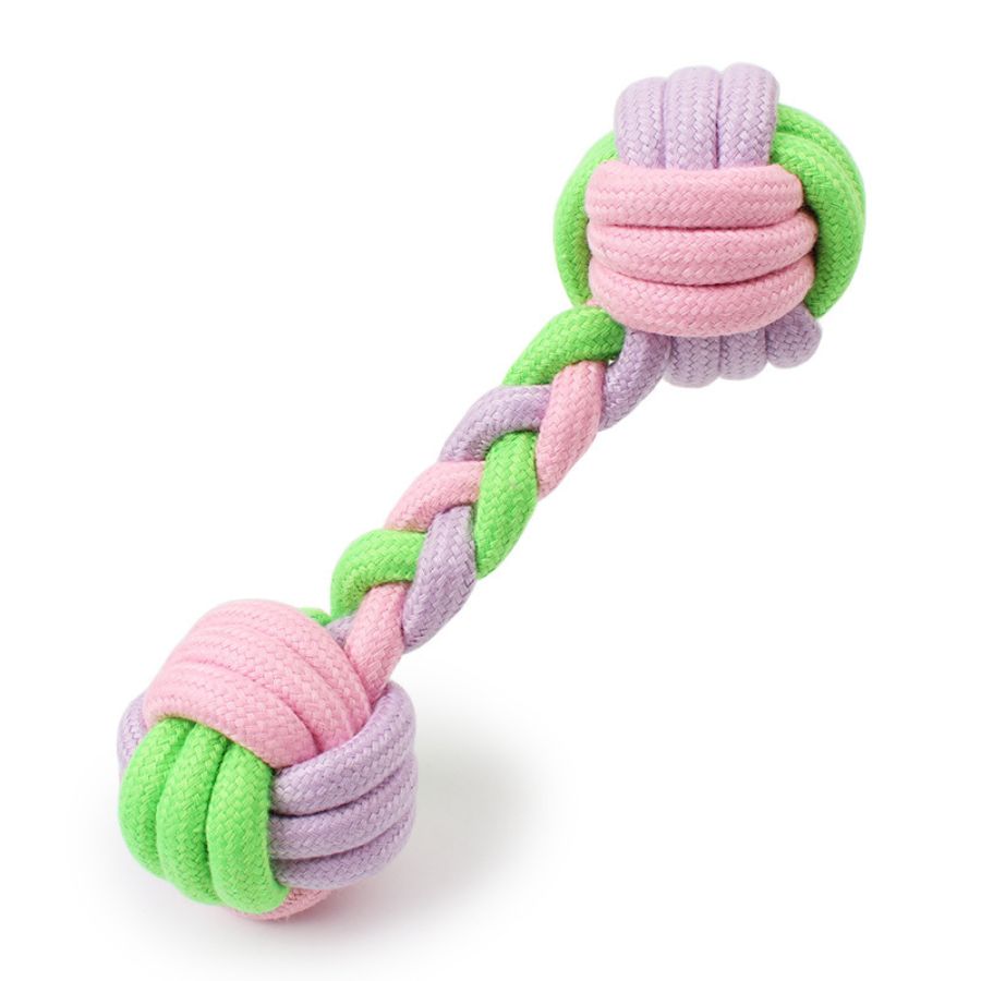 dog chew toy