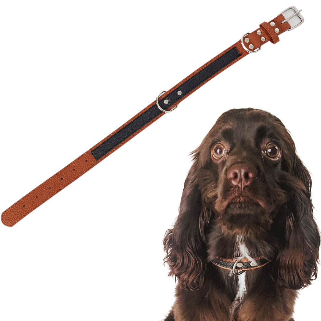 Stylish Leather Collars (Large)
