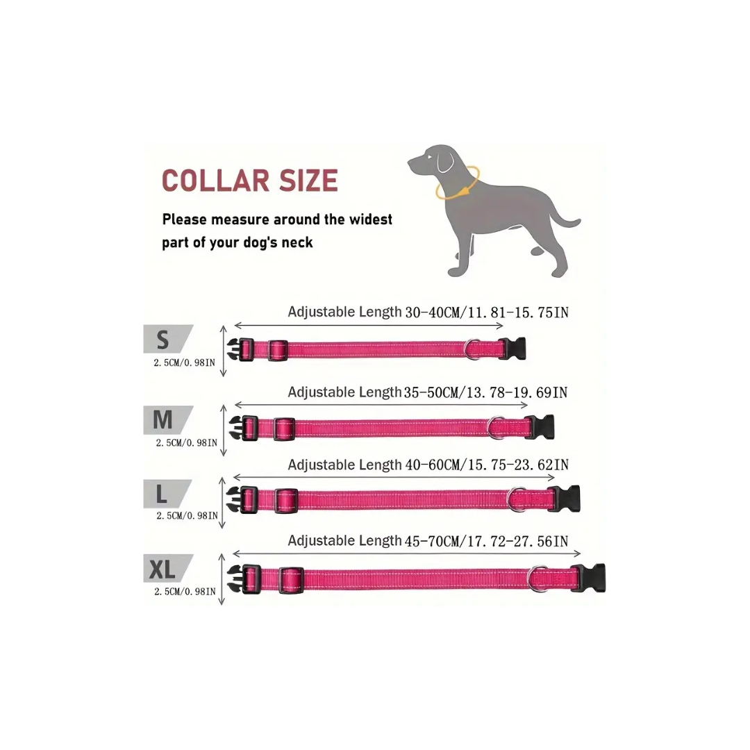 dog collar for large dogs