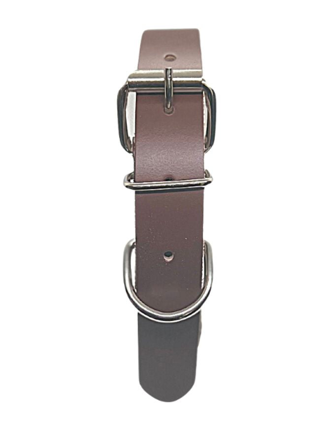 Best Pet Collars