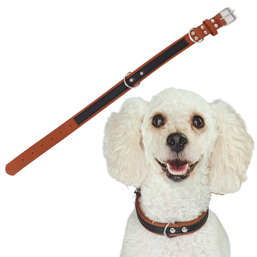 Stylish Leather Collars (Large)