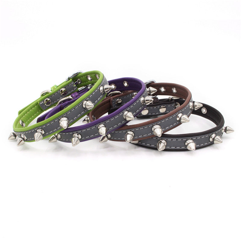 pet collar