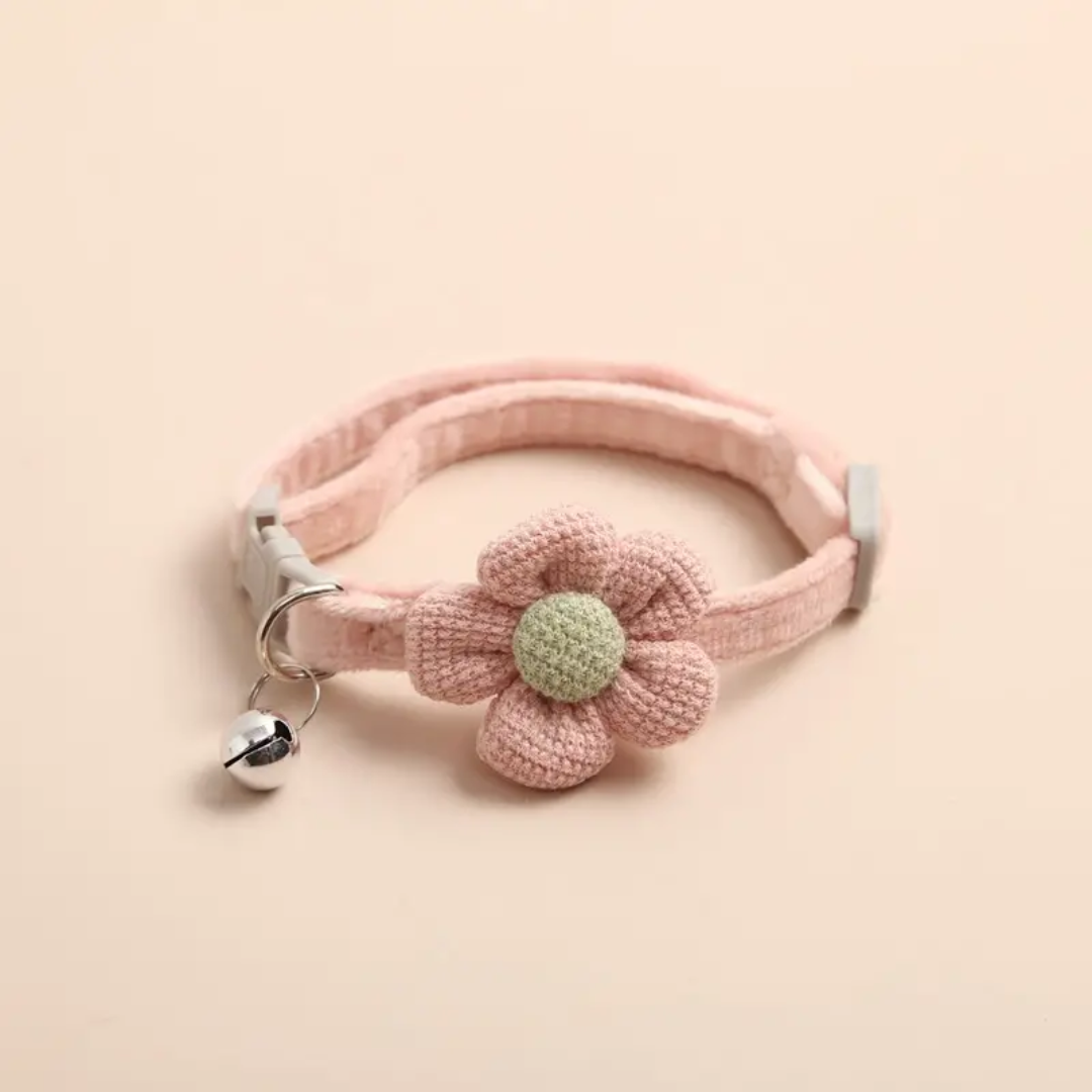 pet collar