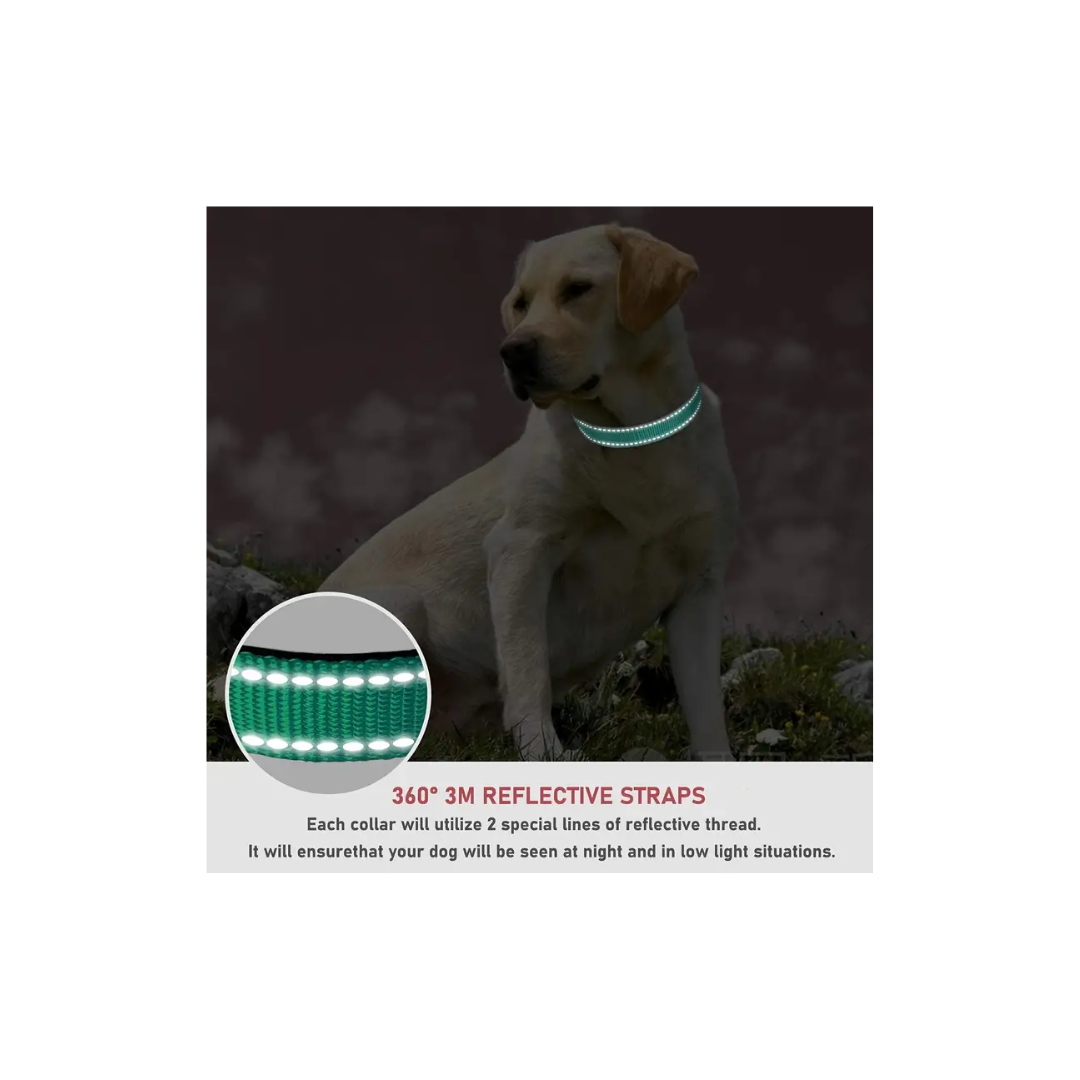 dog collars for small dogs