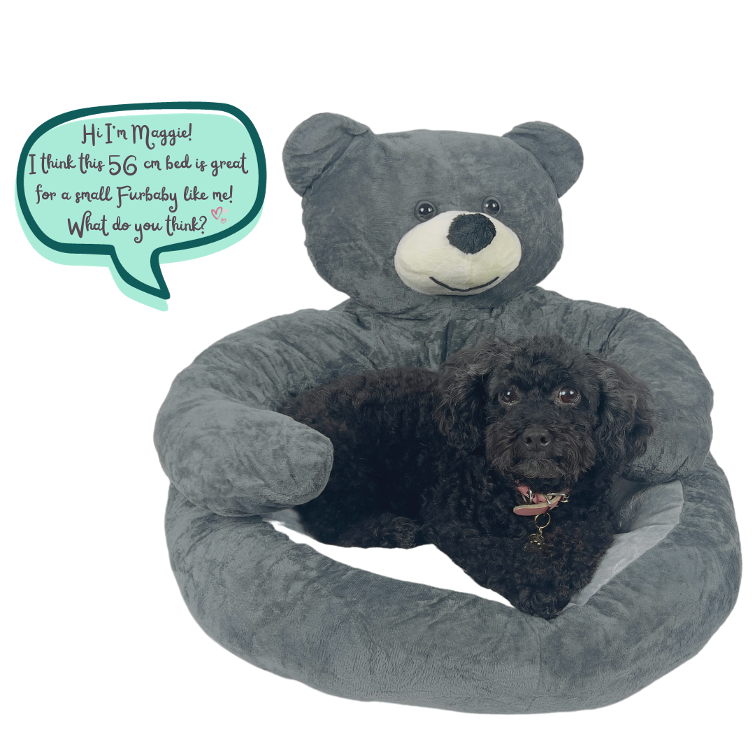 cat house bed