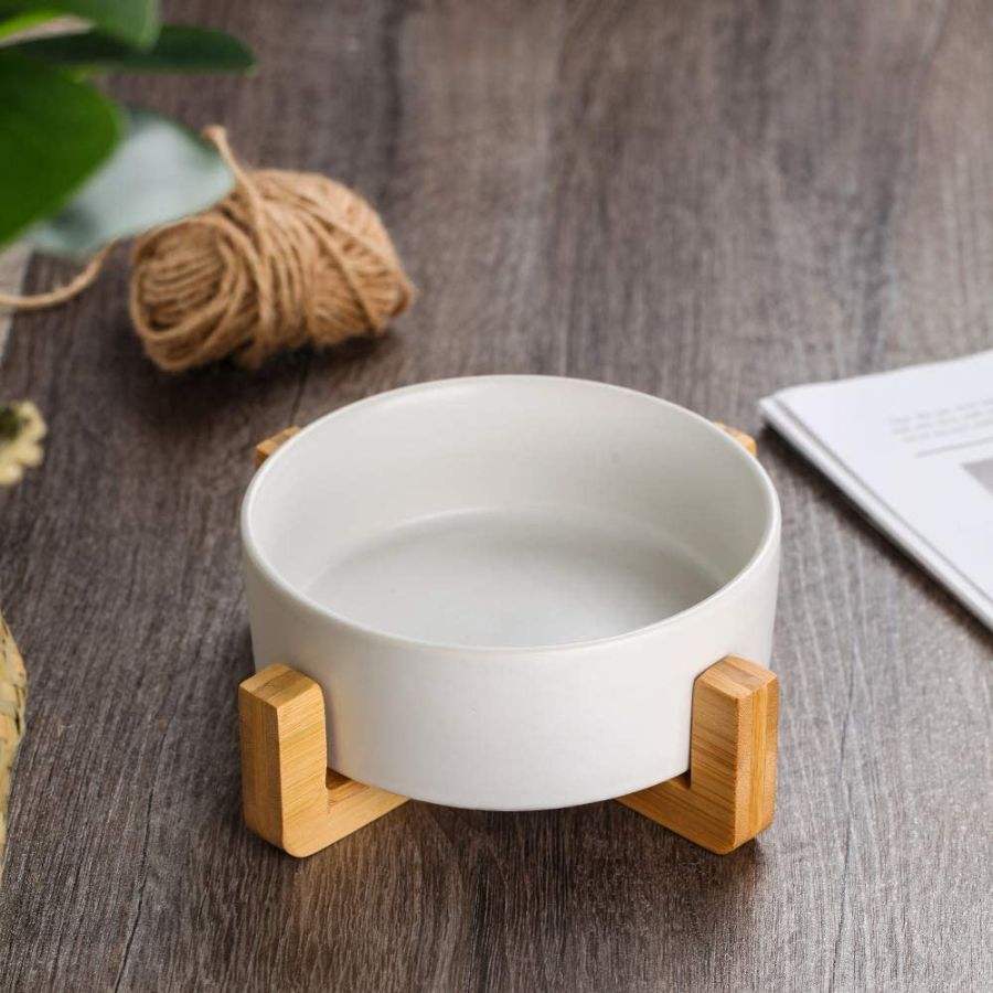 cats bowls