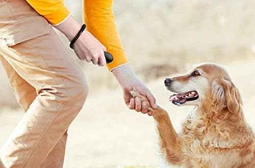 dog clicker for training