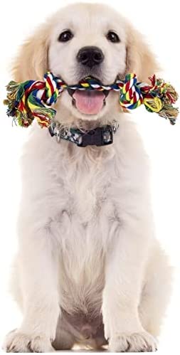 dog chew toy