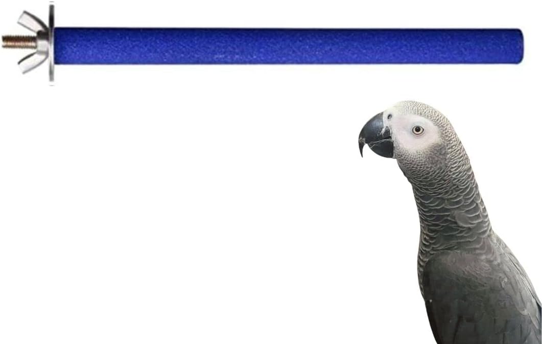 Petsary Sandy Bird Paws Paradise: Parrot Pedicure Perch! (Blue)