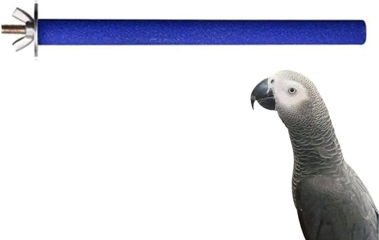 Petsary Sandy Bird Paws Paradise: Parrot Pedicure Perch! (Blue)