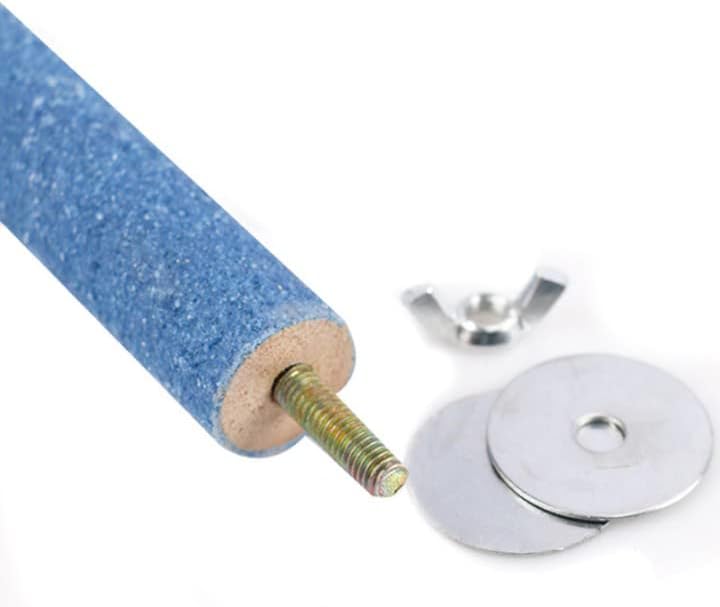 Petsary Sandy Bird Paws Paradise: Parrot Pedicure Perch! (Blue)