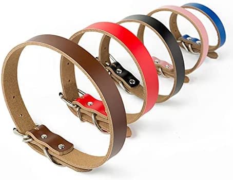 Reflective collar