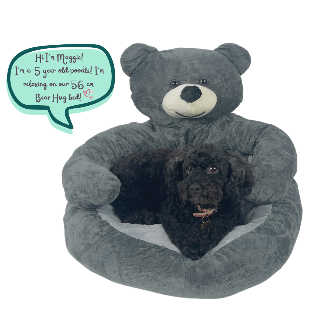 petsary dog bed