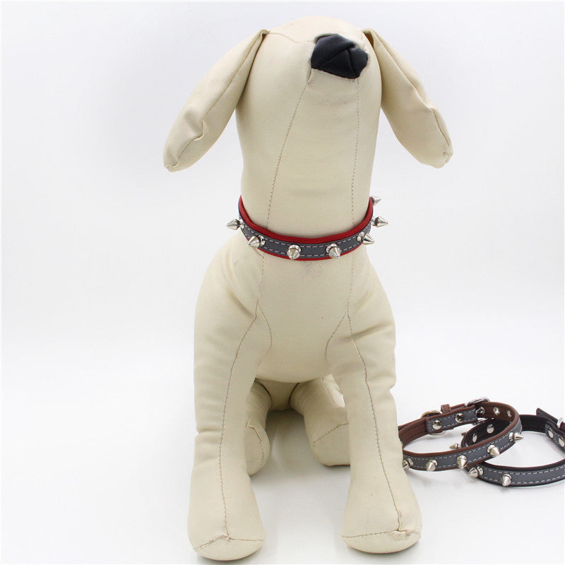Best Pet Collars