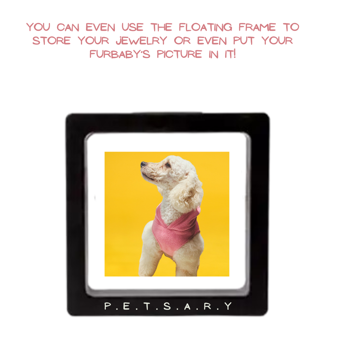 PAWSITIVE VIBES Engraving Pet Tag with a Floating Frame!
