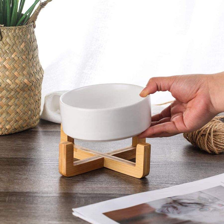 ceramic dog bowl