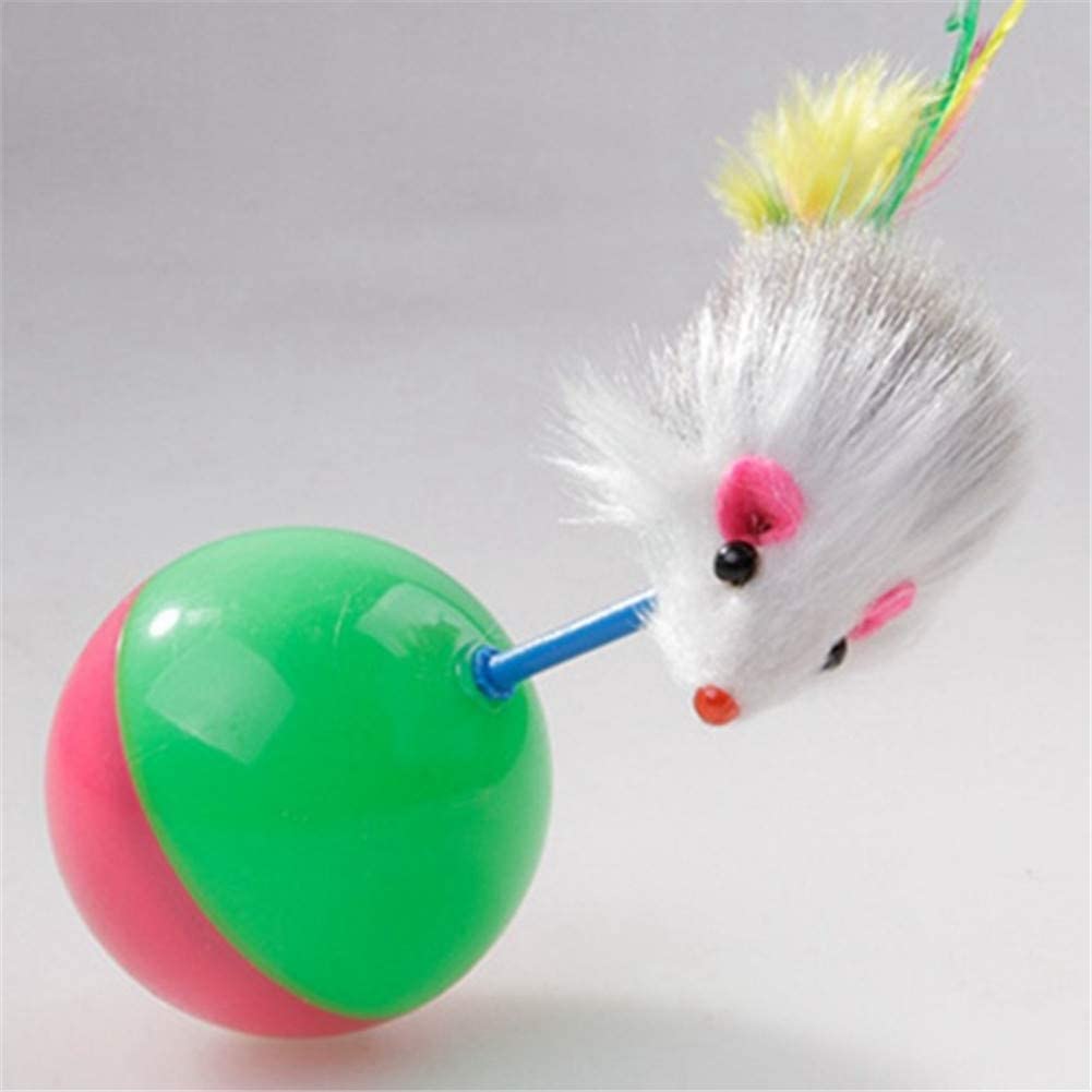 cat toy