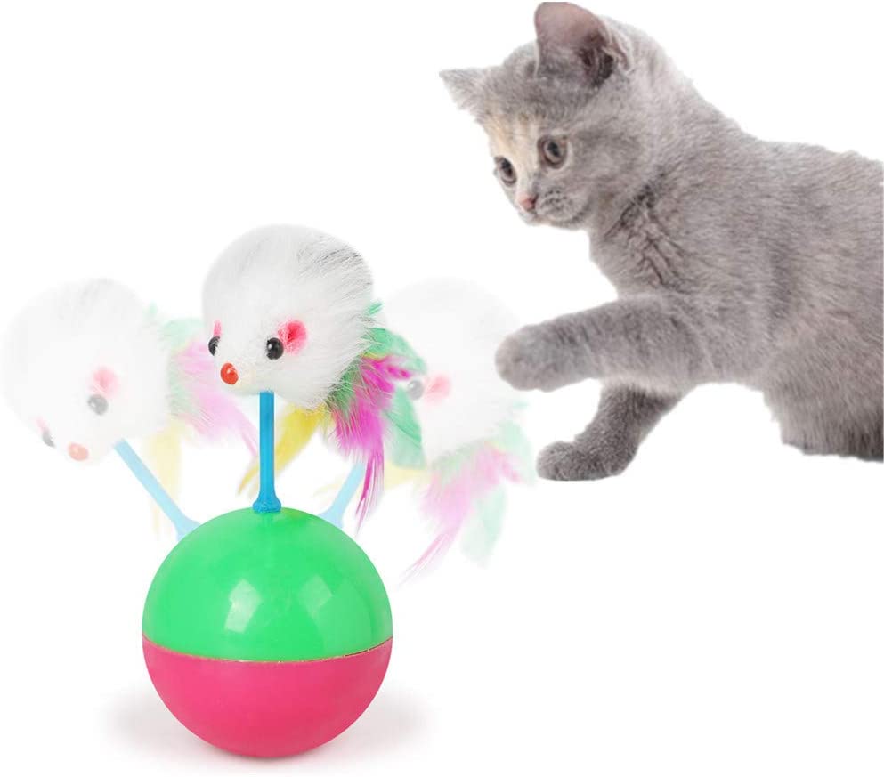 cat toys interactive